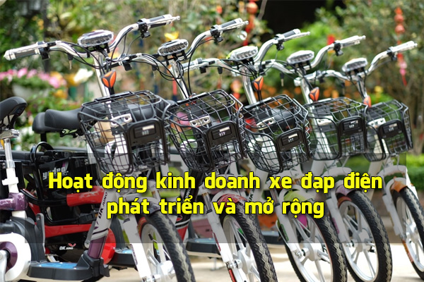 Kinh doanh xe đạp điện Trung Quốc